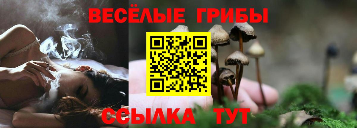 Псилоцибиновые грибы ЛСД Советская Гавань